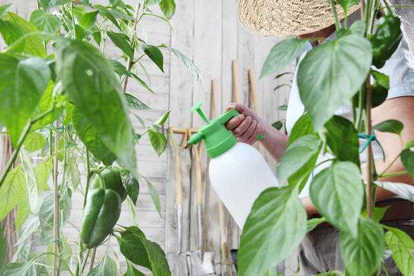 Защита растений от вредителей и болезней без ядов