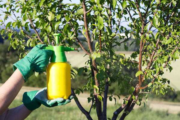 Как обрабатывать плодовый сад без химии. Программа биозащиты с апреля по октябрь