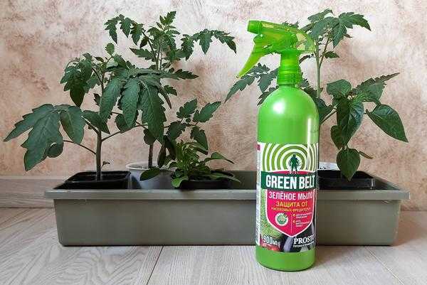 Зеленое мыло для растений: как им пользоваться