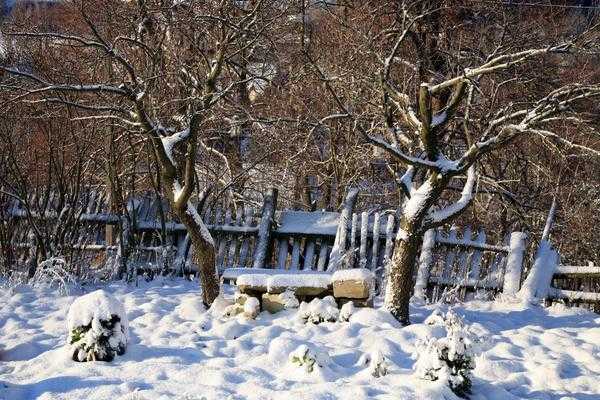 Садовые вредители: где зимуют и как их обезвредить