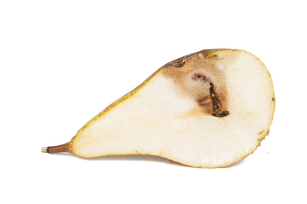 Яблонная плодожорка