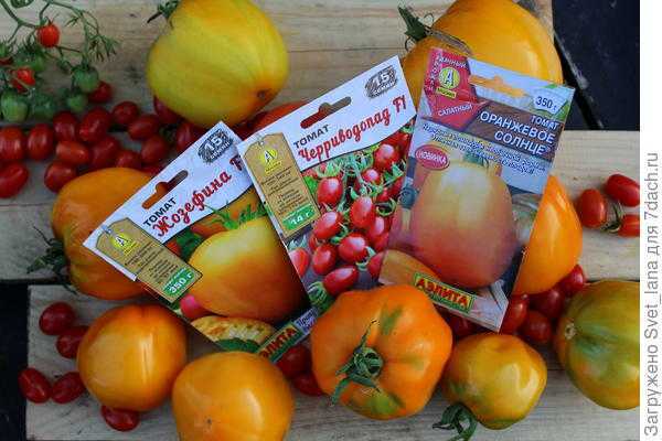 'Жозефина' F1, 'Черриводопад' F1, 'Оранжевое солнце' от "Аэлиты" - все томаты хороши, выбирай на вкус!