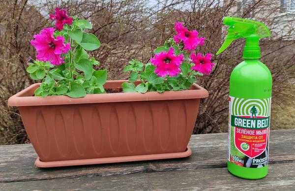 Зеленое мыло для растений: как им пользоваться