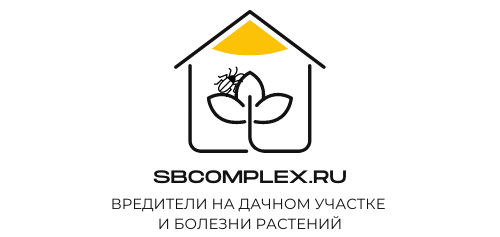Sbcomplex.ru