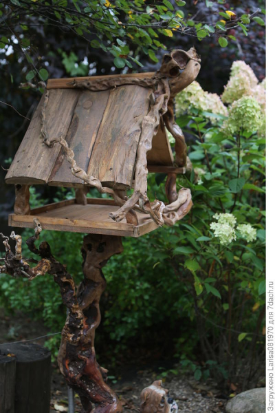 Птичьи столовые, или Как защитить сад от вредителей