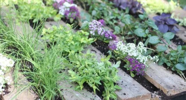 8 советов по улучшению вашего сада