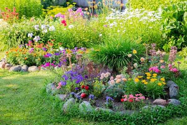Чем обрабатывать сад, огород и цветники летом. Подборка эффективных средств от болезней и вредителей